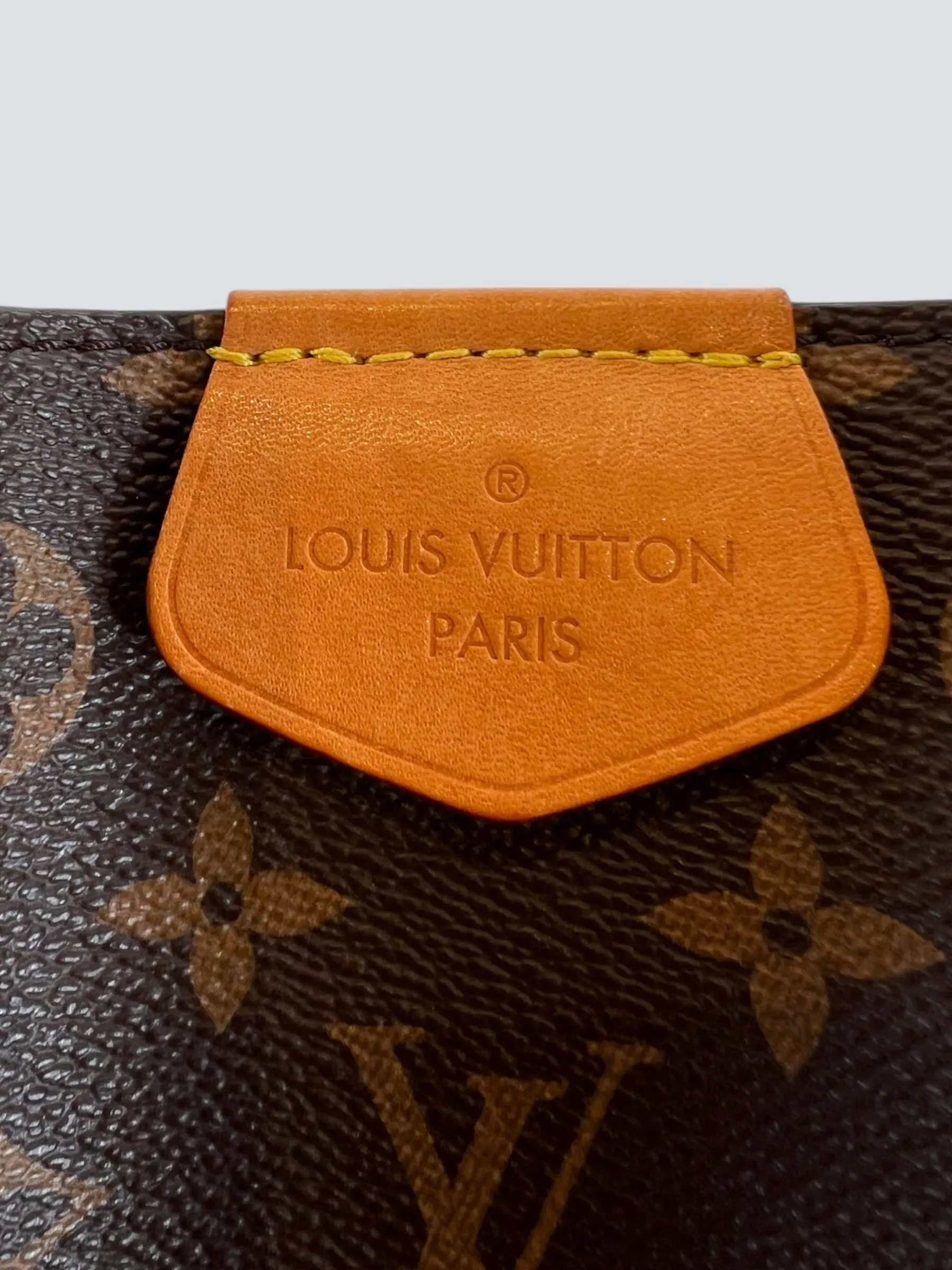 Louis Vuitton Monogram Canvas "Graceful" Hobo