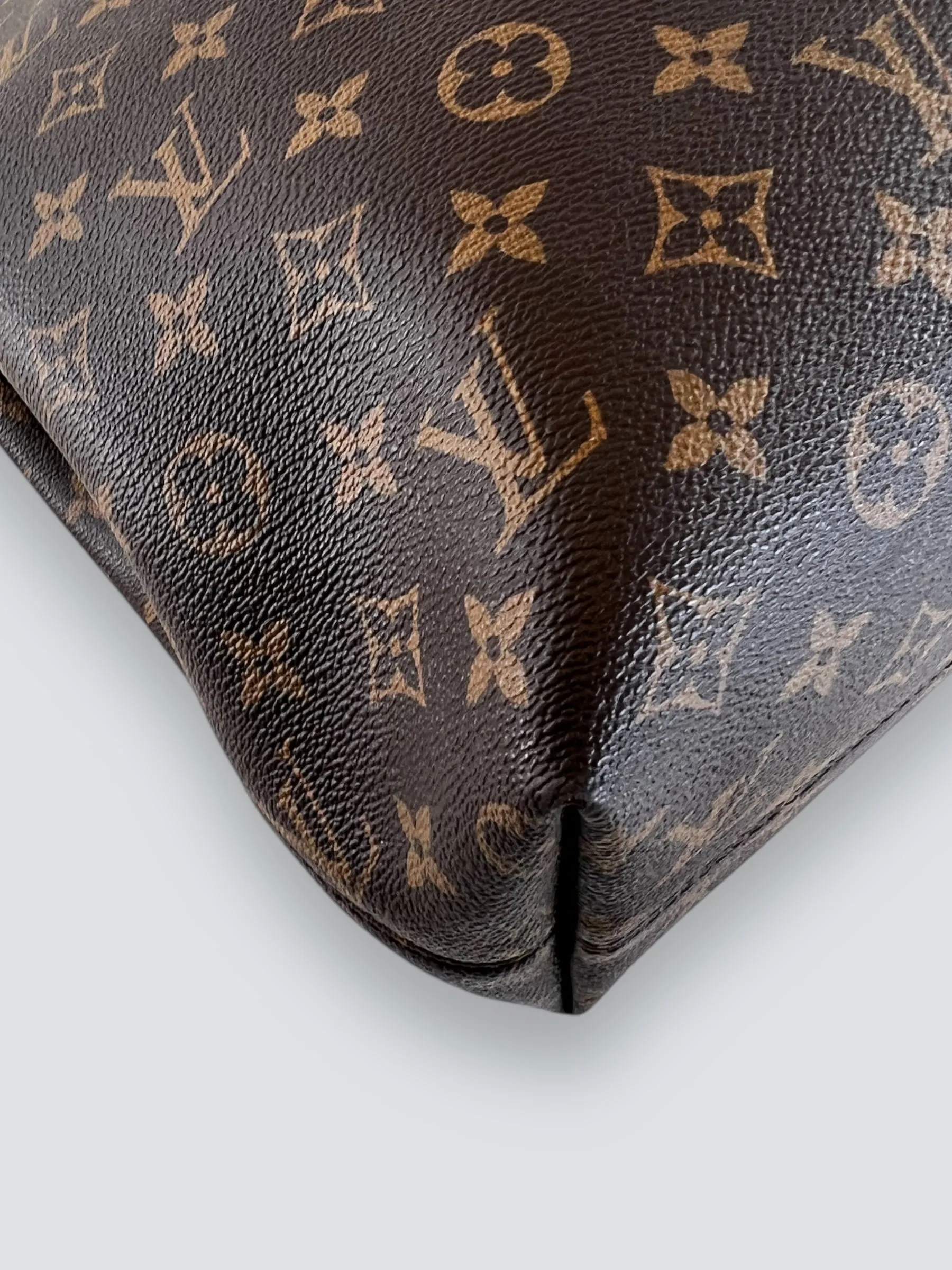 Louis Vuitton Monogram Canvas "Graceful" Hobo